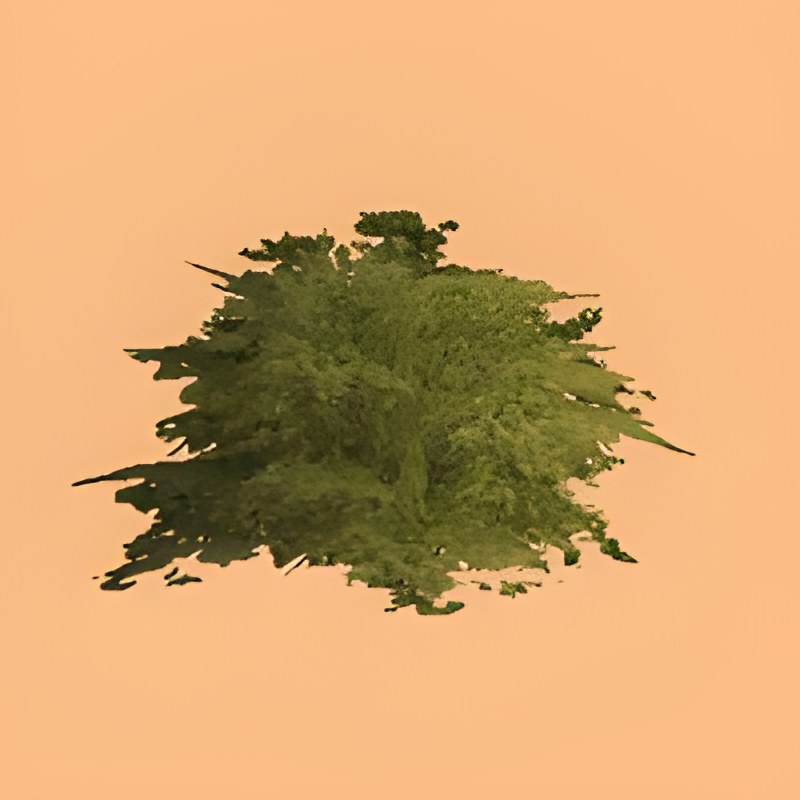 Green Bush #1