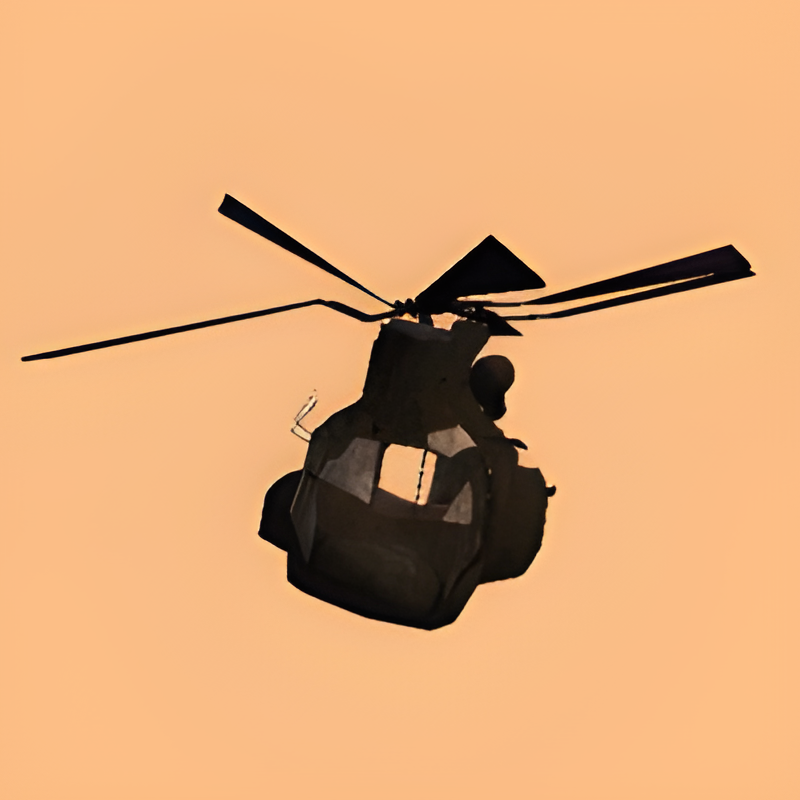 CH-47 Chinook Helicopter (husk)