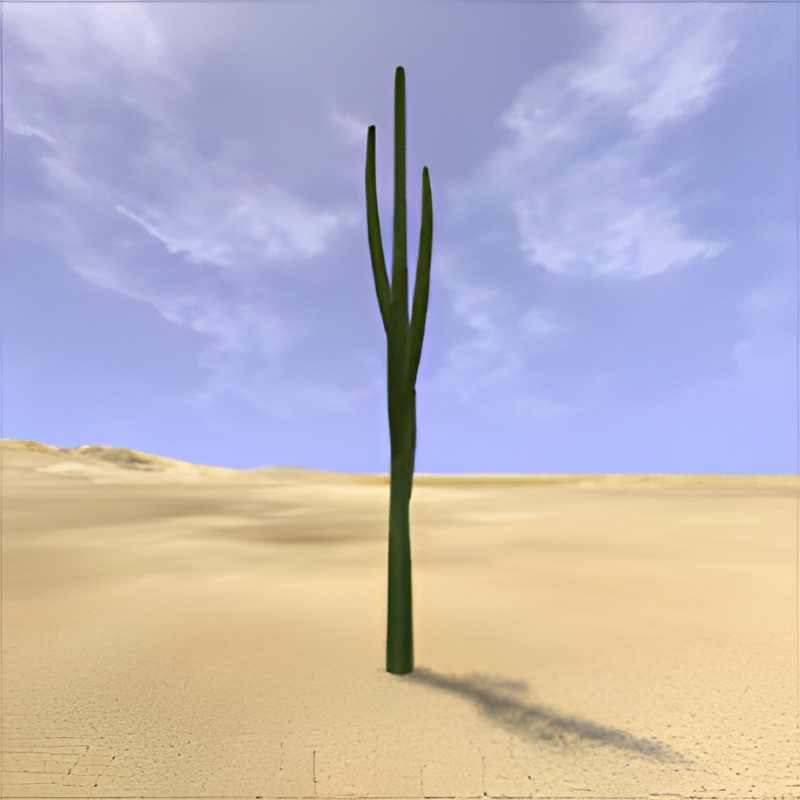 Desert Large Suguaro Cactus