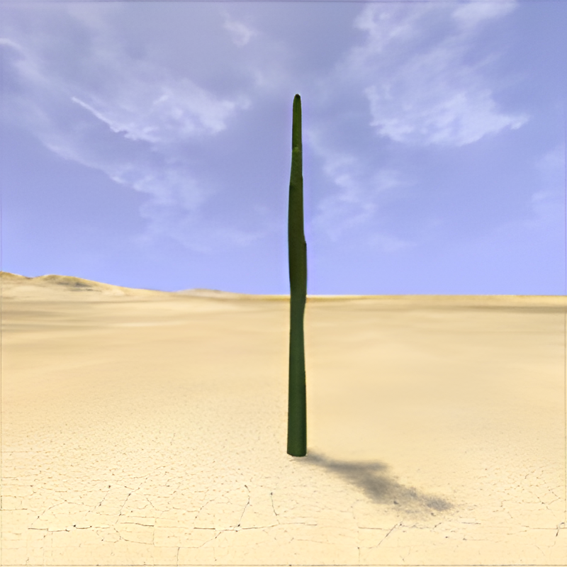 Desert Small Suguaro Cactus