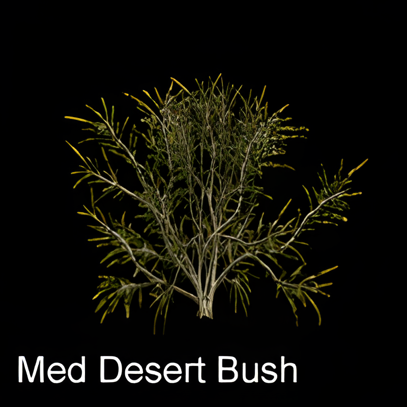 Medium Desert Bush