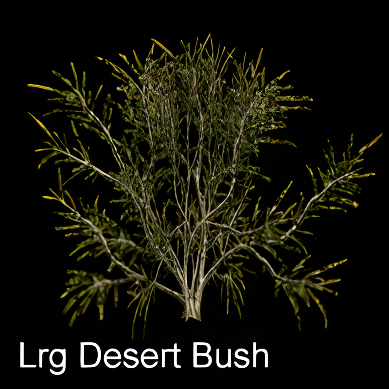 Large Desert Bush