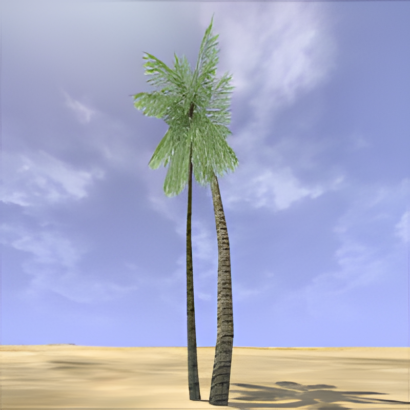 Desert Palm #2 (Double)