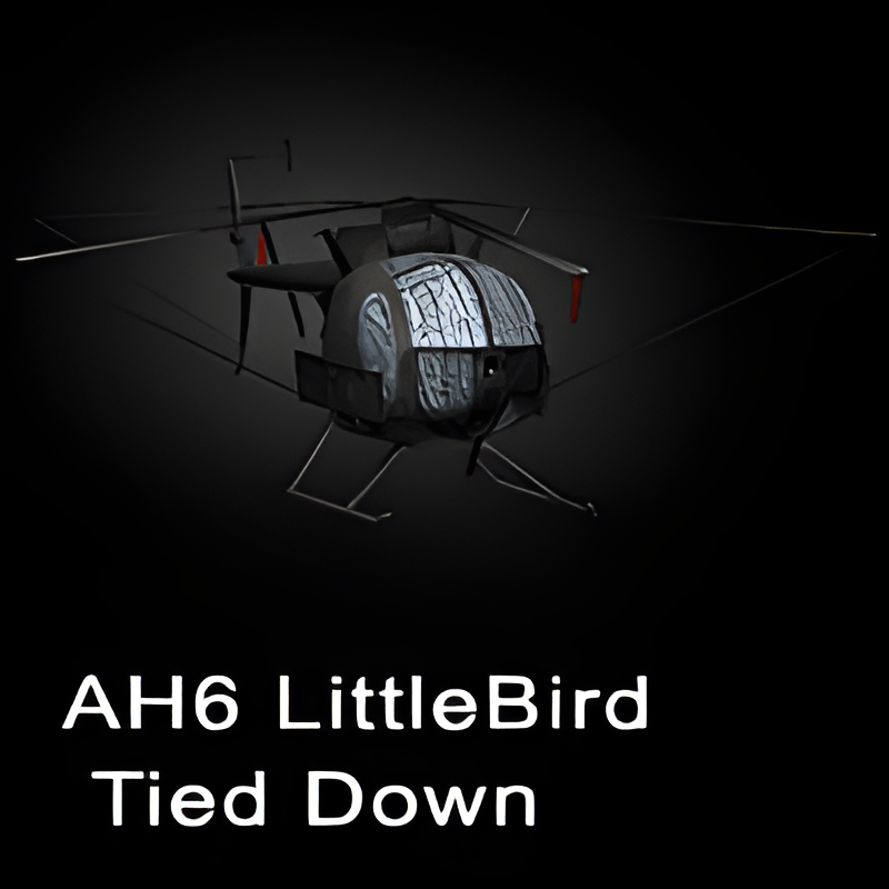Grounded AH-6