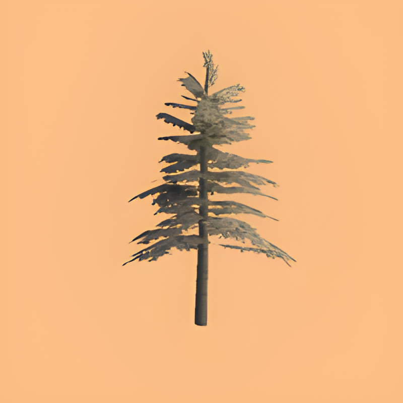Fir Tree #1 (Snow)