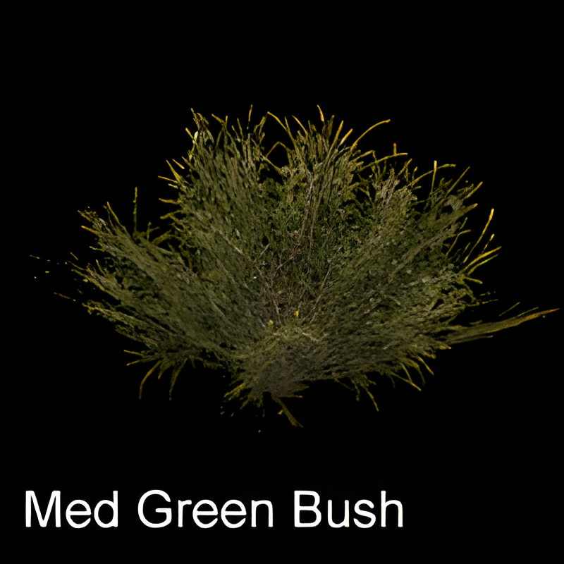Medium Green Bush (used in Desert Climate)