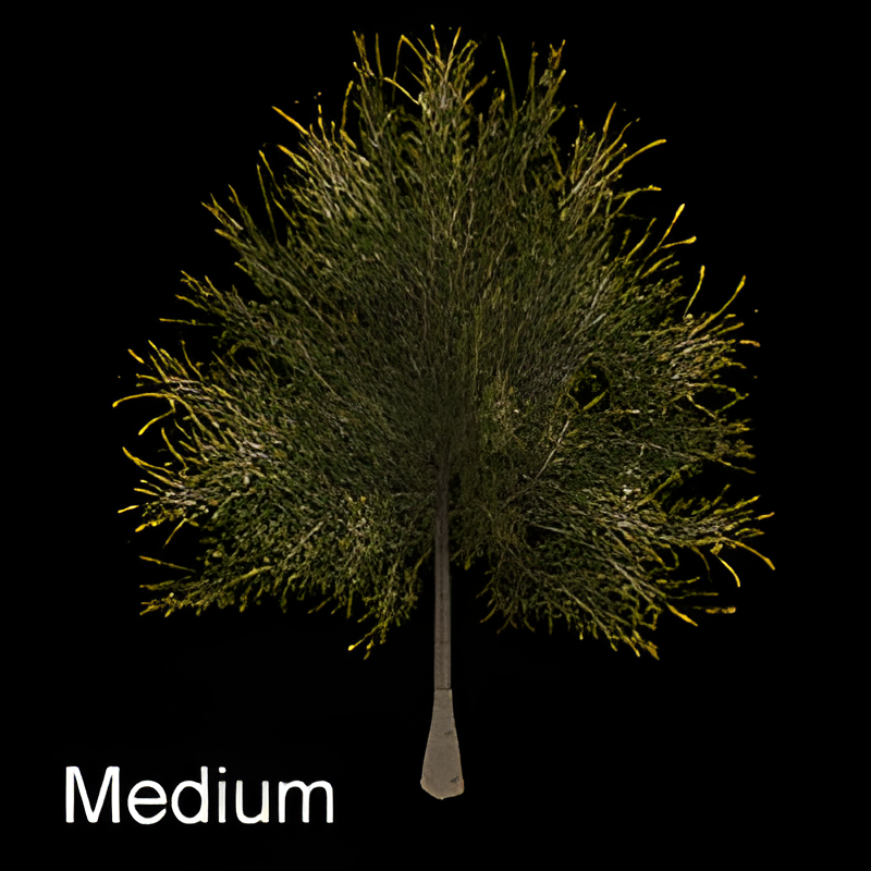 Green Tree Type Two