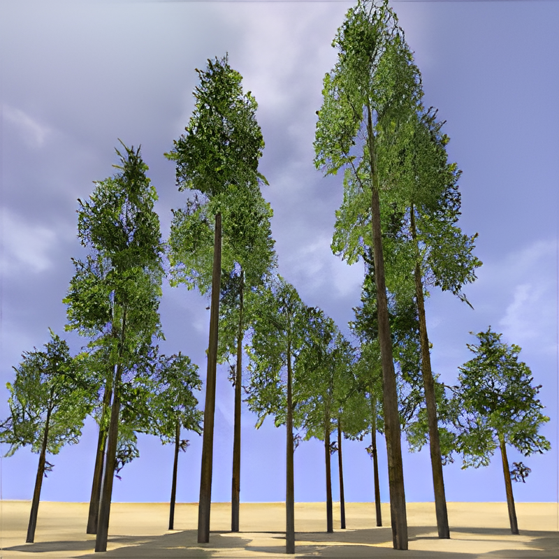 Hardwood Tree Group
