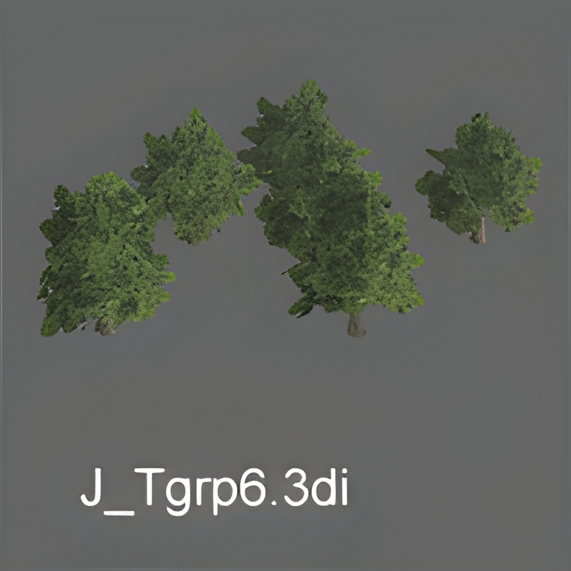 Jungle Tree Group #6 (banyan trees)