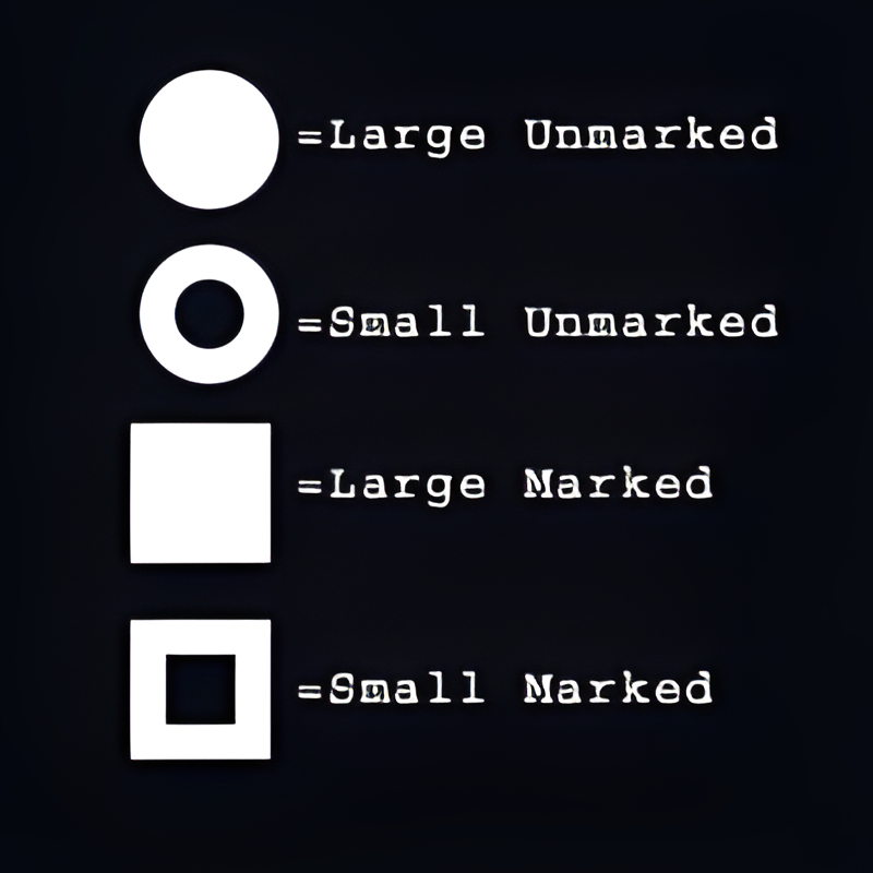 Marked & Unmarked Land Mine Section #4
