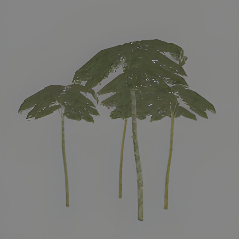 Jungle Tree Group #13