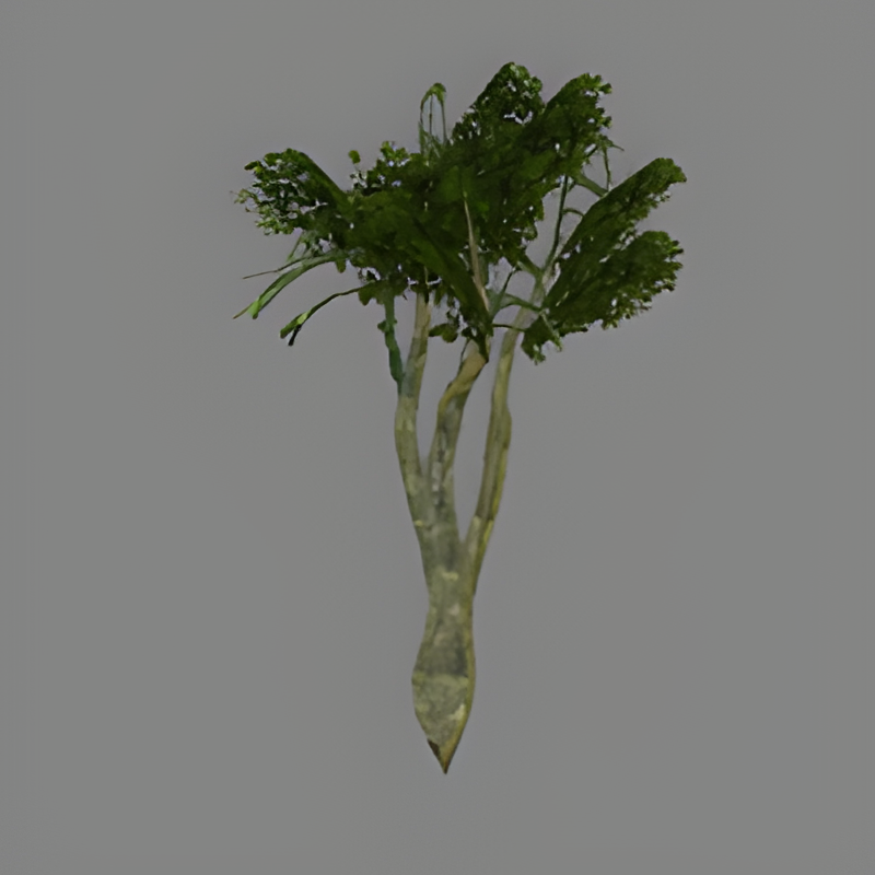 Jungle Tree #15