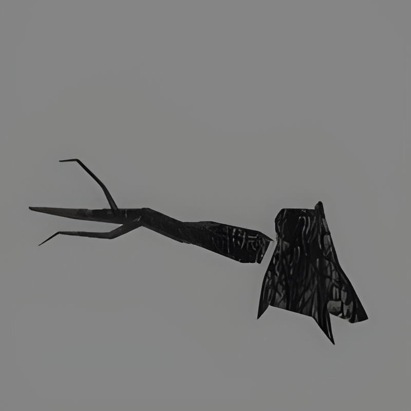 Burned Tree #3