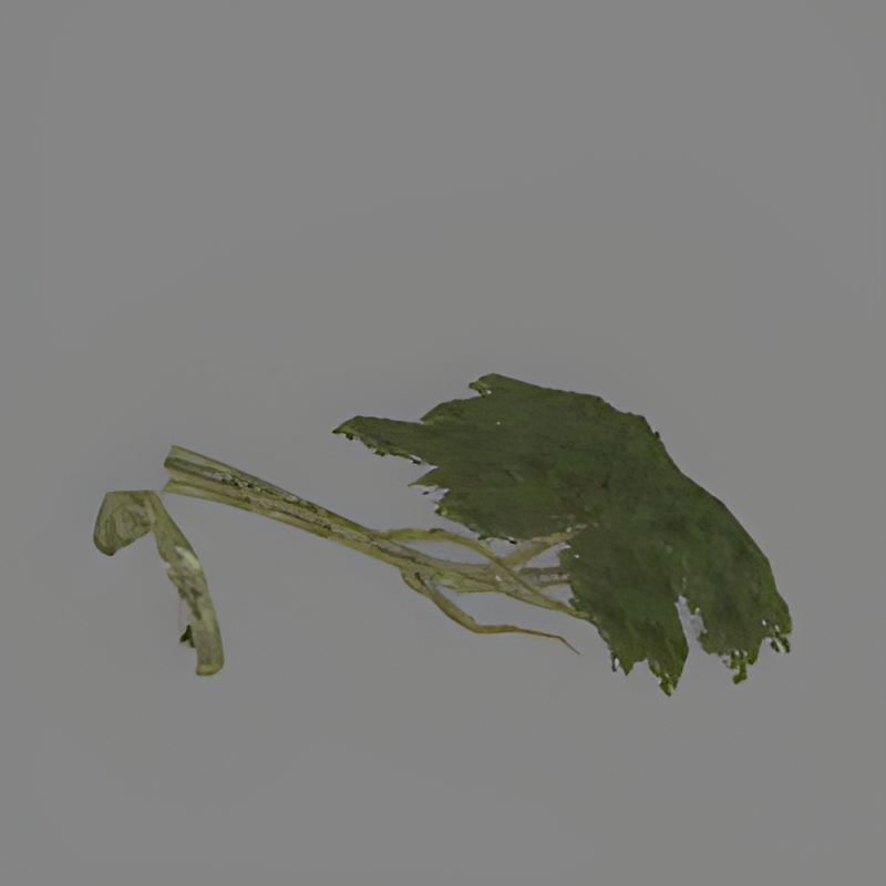 Fallen Jungle Tree (small)