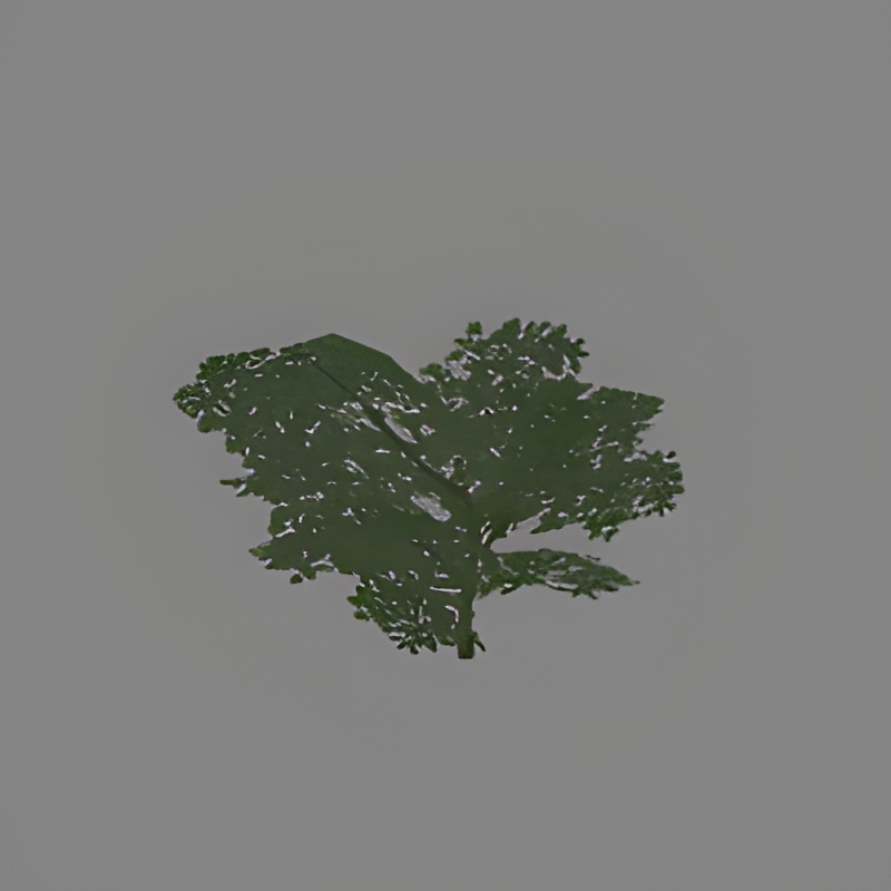 Jungle Bush #14
