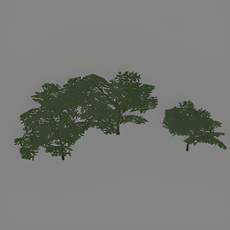 Jungle Bush Group #14