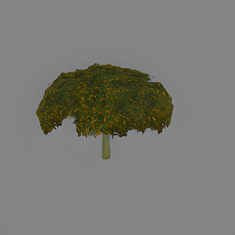 Bush #1