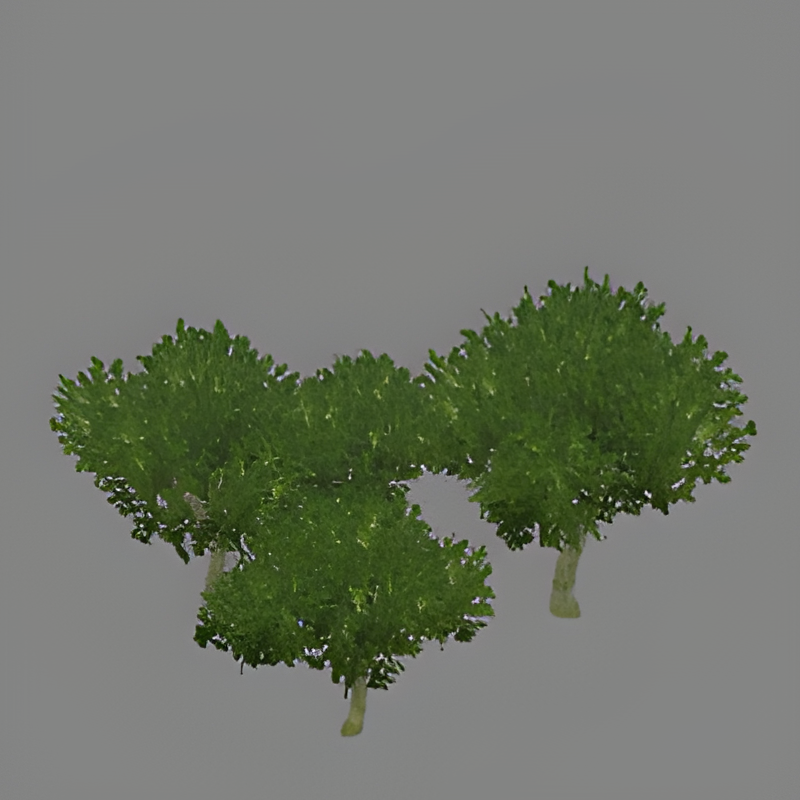 Bush Group #2