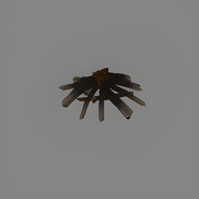 Campfire Remains