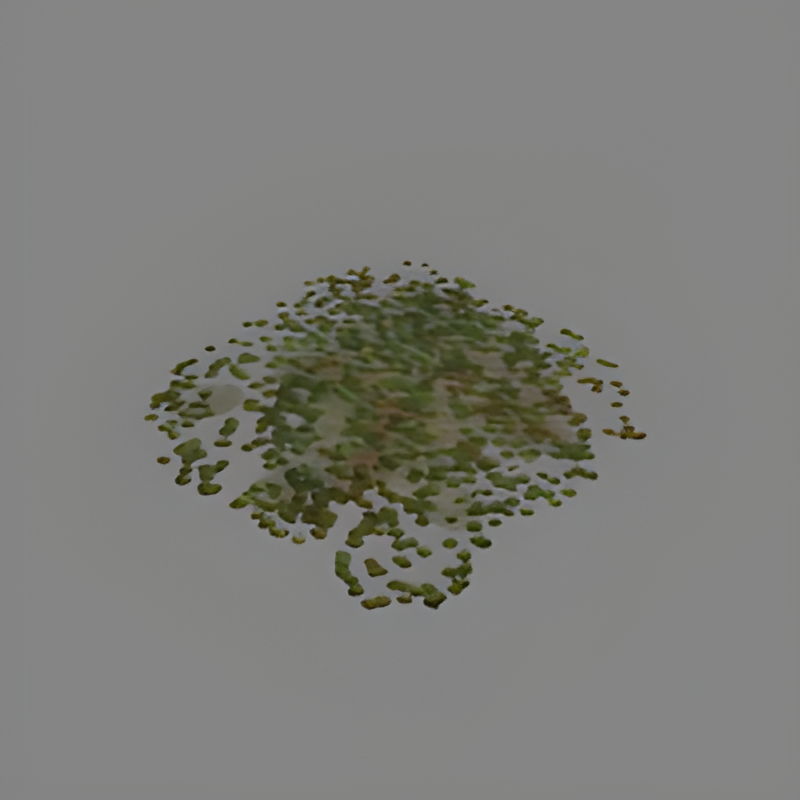 Duckweed