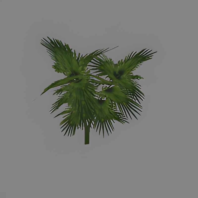 Bush #1A