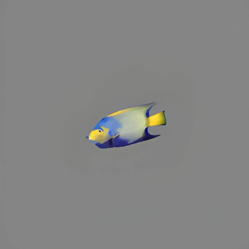 Tropical Fish (dead)
