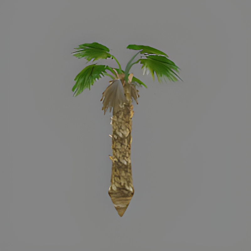 Small Palm Tree
