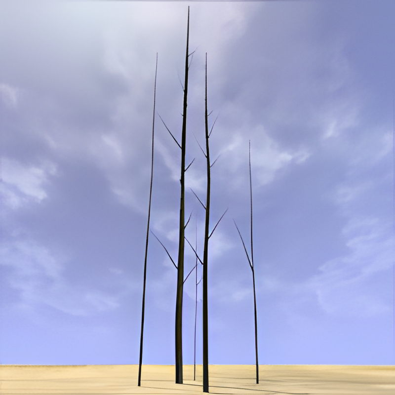 Dead Tree Group