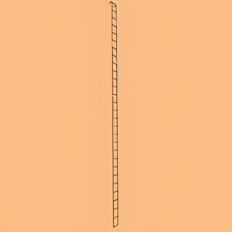 Metal Ladder #1