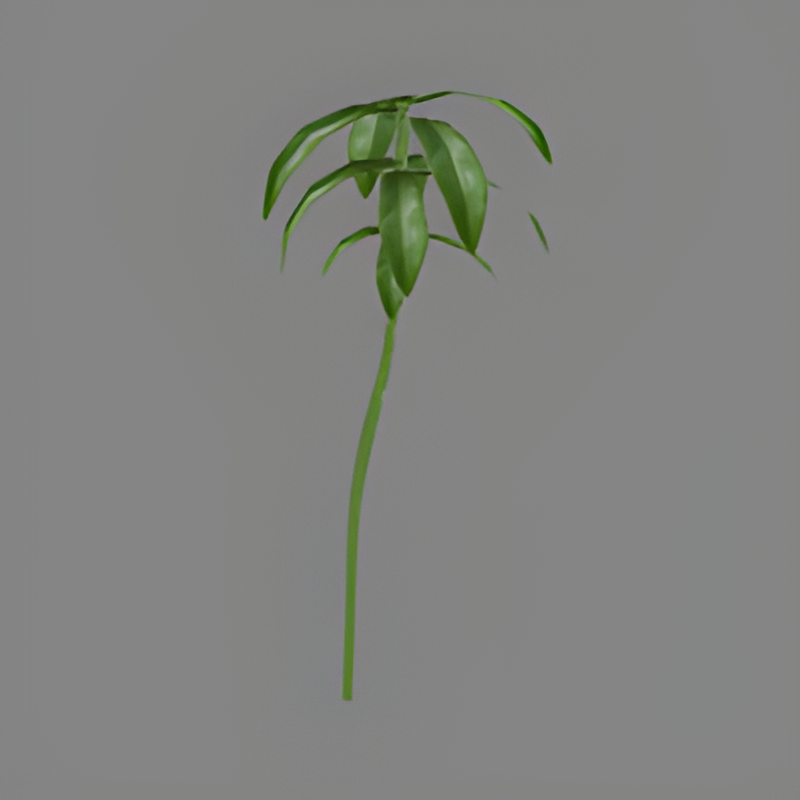 Jungle Tree #16