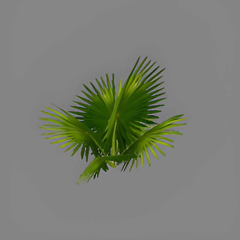 Jungle Bush #13