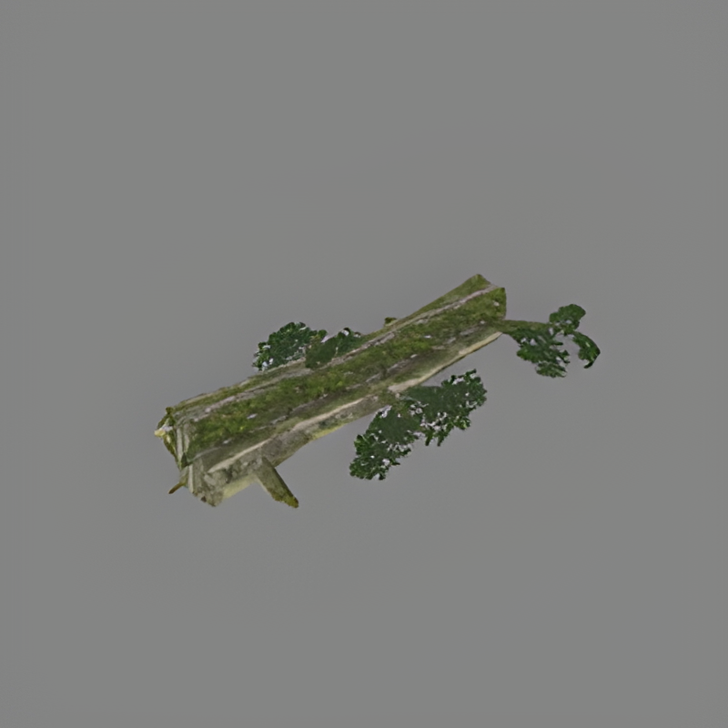 Fallen Jungle Tree