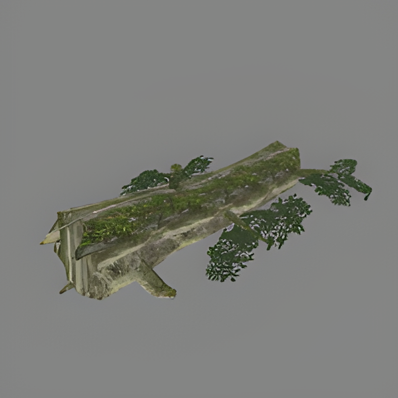 Fallen Jungle Tree (larger)