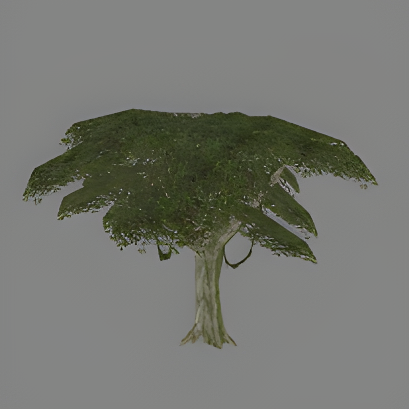 Jungle Tree #21