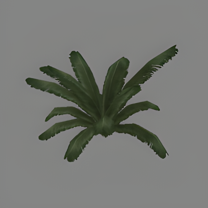 Green Fern #3