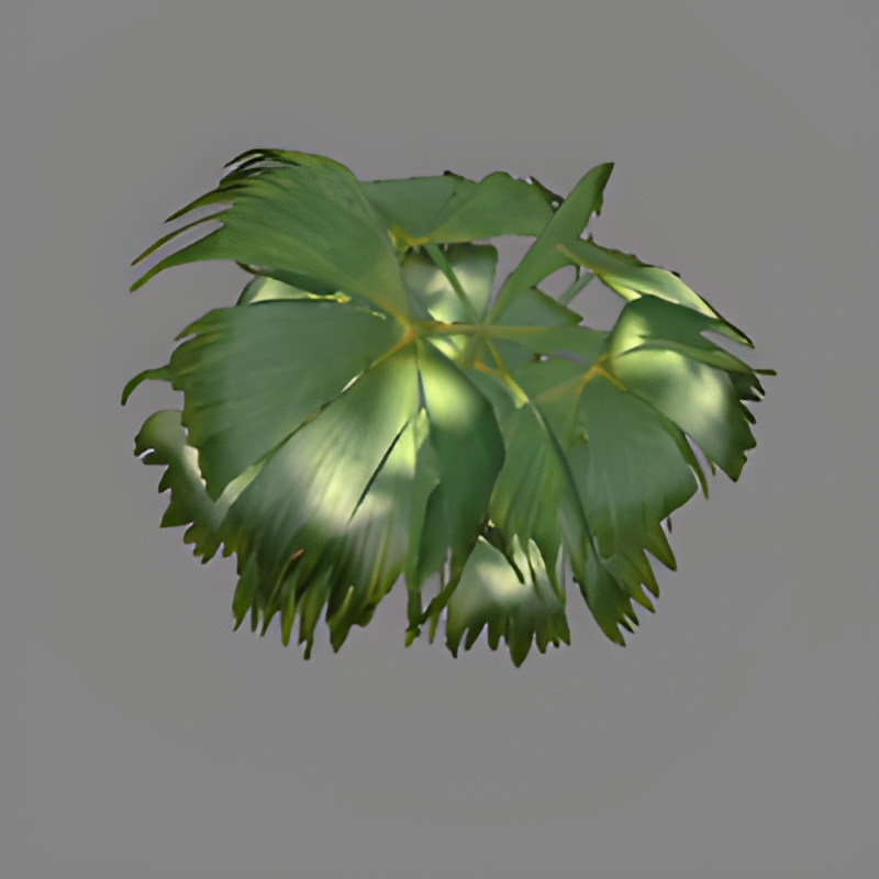 Green Fern #4