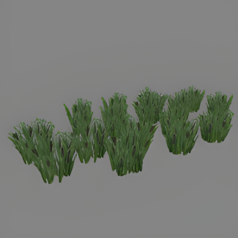 Group of Reeds