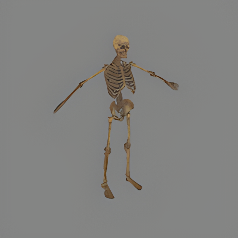 Skeleton Zombie