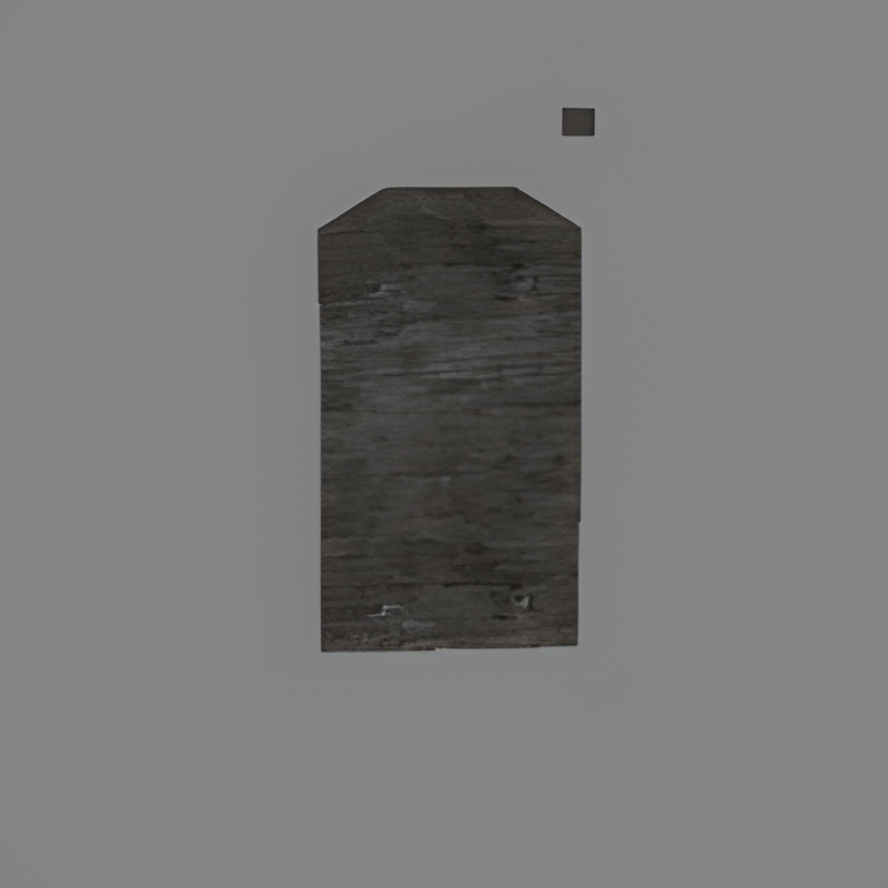 Tunnel Door (MED open)
