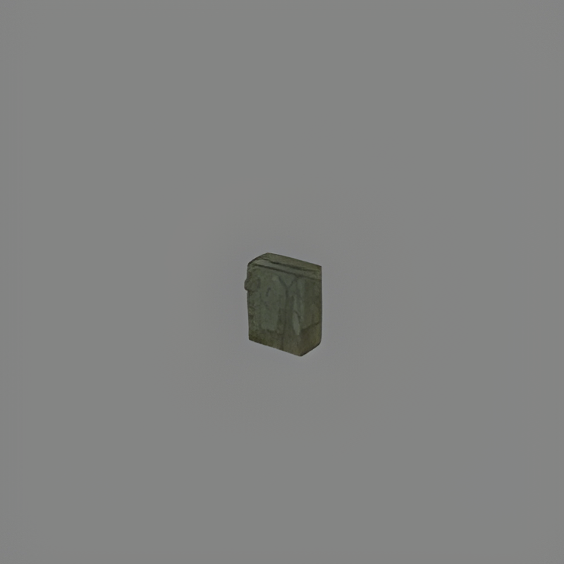 Tunnel Door Switch