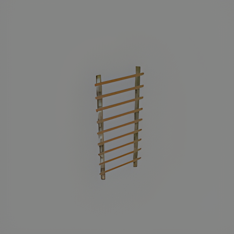 Training Ladder