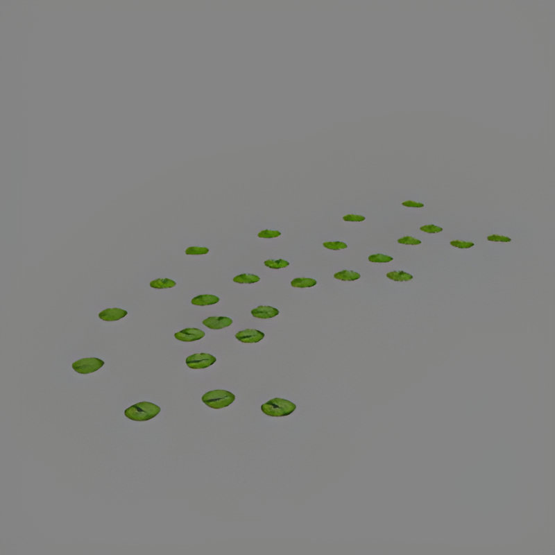 Waterlillies #2