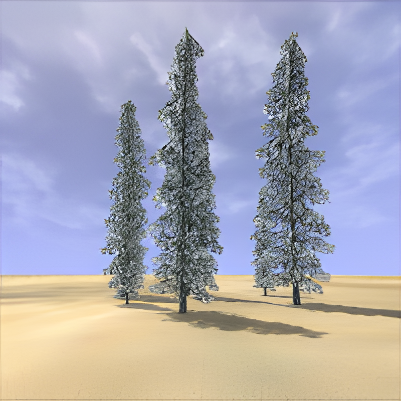 Group of Pine Trees (Snow)