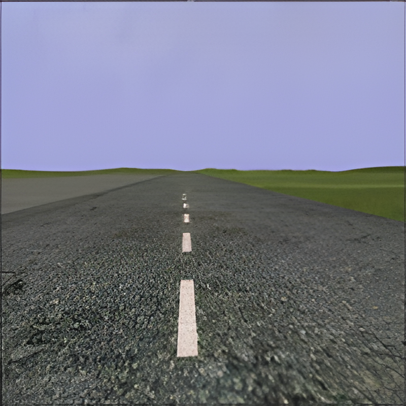 Raised Road