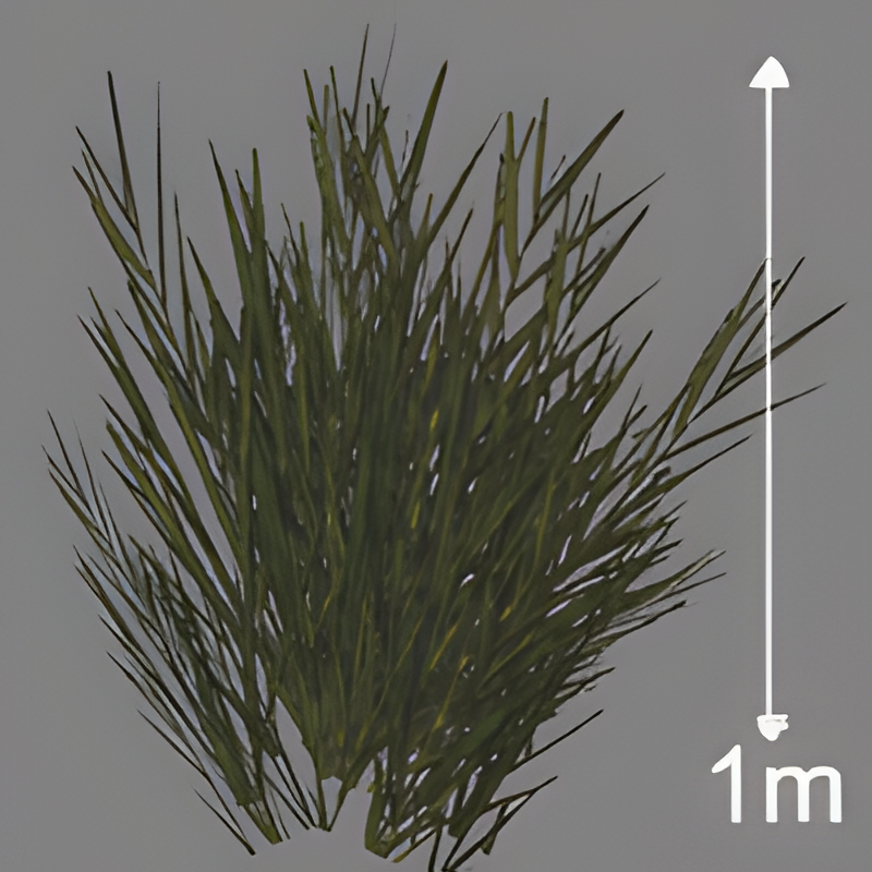 Small Wall Foliage (for placement right next to walls)